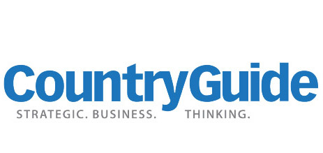 CountryGuide - Strategic Business Thinking logo