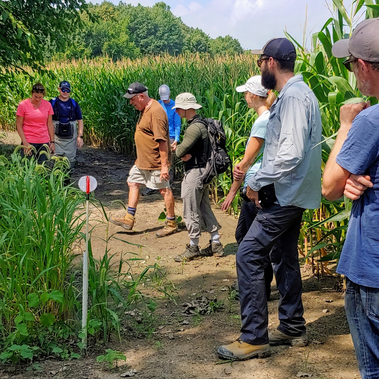 First on site visit for many of these Living Lab scientists! Here Henry is talking about the edge of field monitoring for both surface and tile flow
