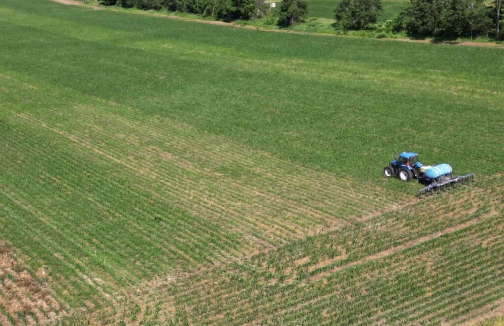 Photo Credit: Norm Lamothe from Woodleigh Farms, Peterborough County