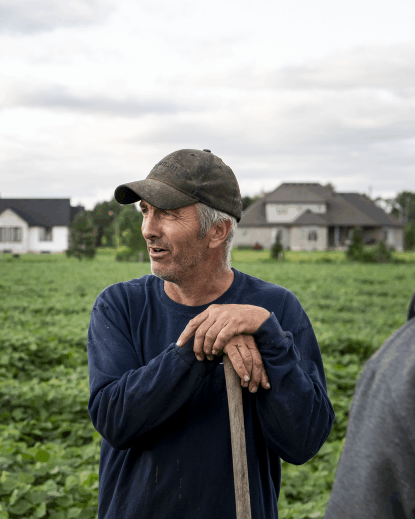 Ontario farmer Steve Sickle standing in a soy field in Brant County