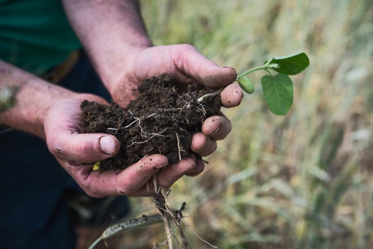 Close up of Ontario Soil Network soil.