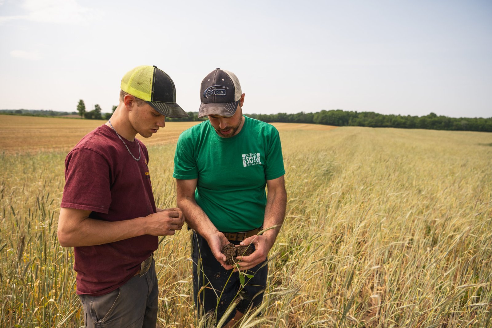 Gordon Alblas stands in his field wearing a green ontario soil network shirt examining the soil in his wheat field.